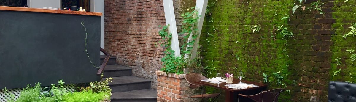 Silvestre courtyard with a moss-covered wall, plants and terracotta floor