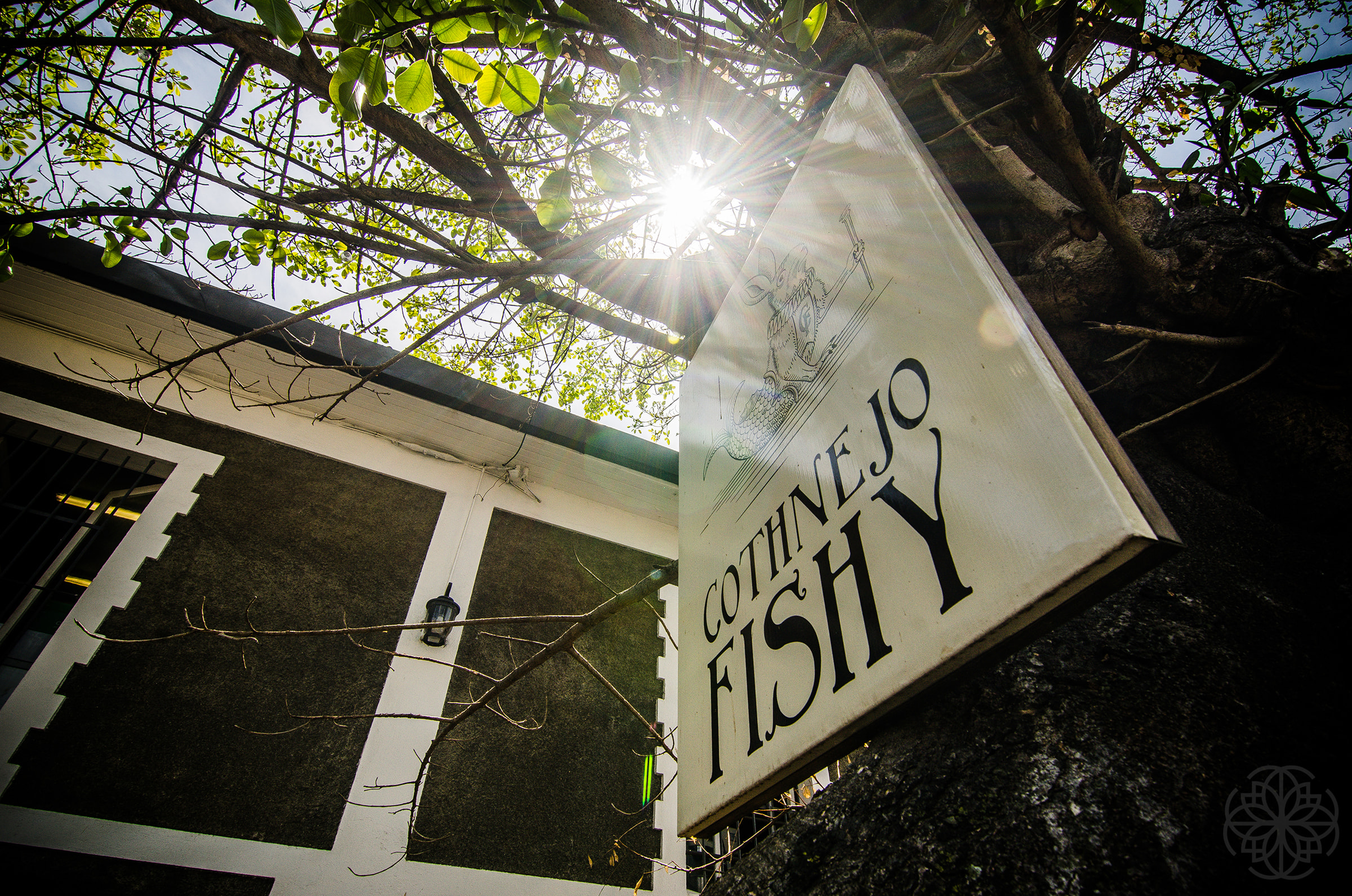 Cantina Cothnejo Fishy (Restaurantes) por Giannina Cappella Interiors — foto 1