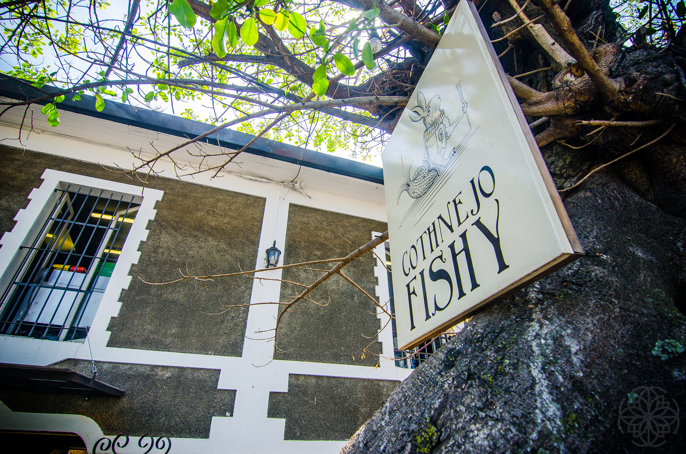 Cantina Cothnejo Fishy (Restaurantes) por Giannina Cappella Interiors — foto 2