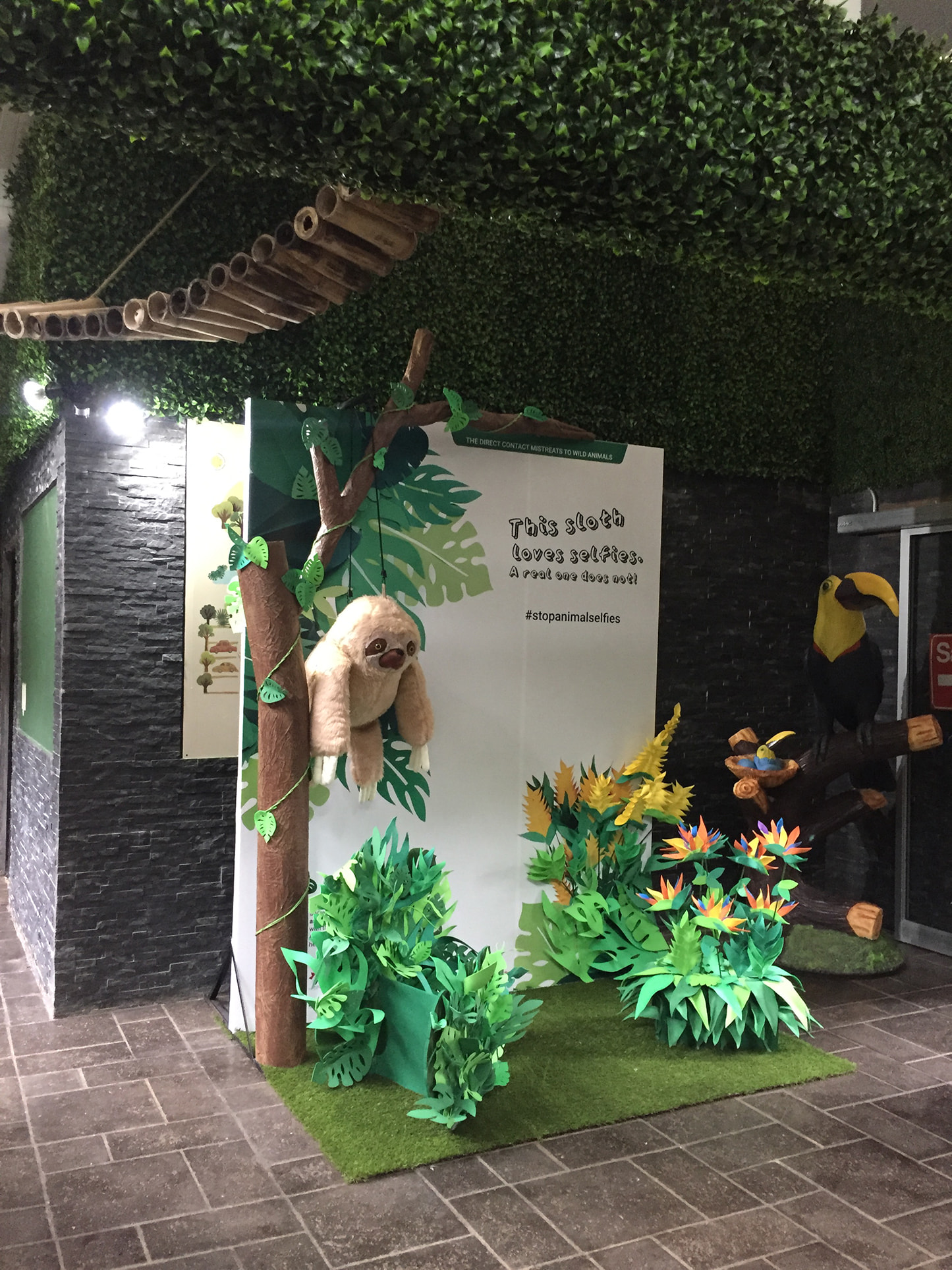 Photobooth #StopAnimalSelfies (Escenografías) por Giannina Cappella Interiors — foto 8